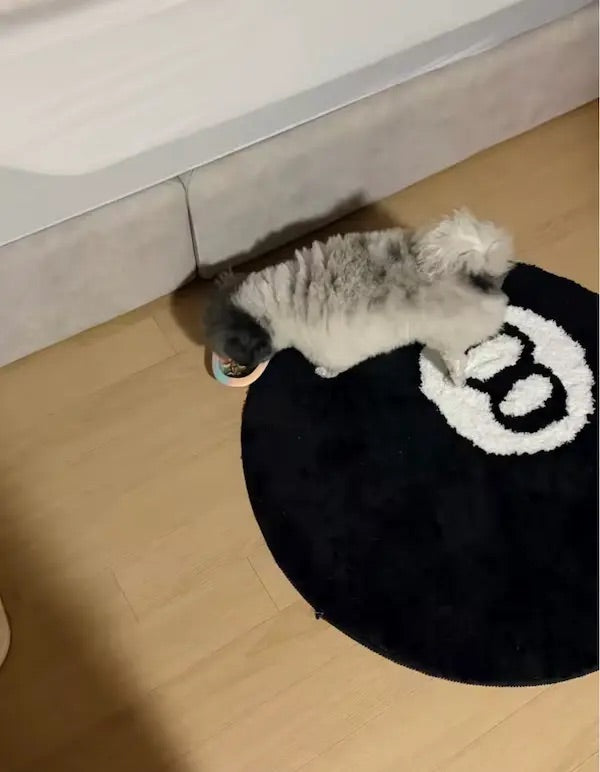 8-Ball Rug Cat